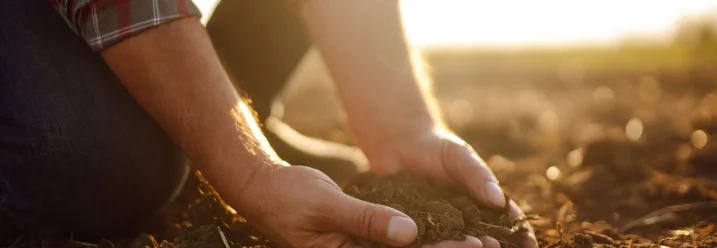 Hände halten dunkle Erde